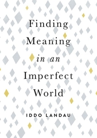 Finding Meaning in an Imperfect World by Iddo Landau