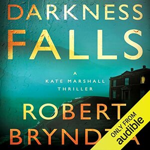 Darkness Falls by Robert Bryndza