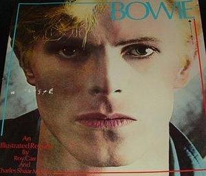 David Bowie: An Illustrated Record Book 1981 by Roy Carr, Roy Carr, Charles Shaar Murray