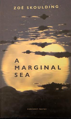 A Marginal Sea by Zoë Skoulding