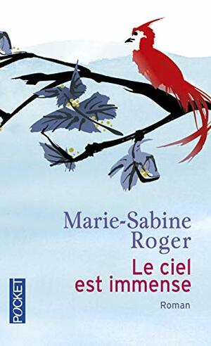 Le ciel est immense by Marie-Sabine Roger