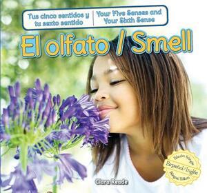 El Olfato/Smell by Connor Dayton