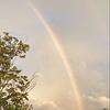 emma_s_bookshelf's profile picture