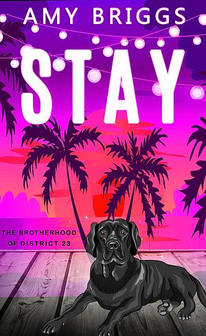 Stay by Amy Briggs