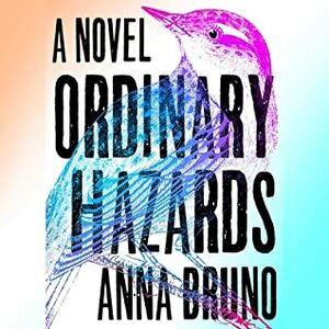Ordinary Hazards: A Novel by Anna Bruno
