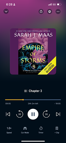 Empire of Storms  by Sarah J. Maas