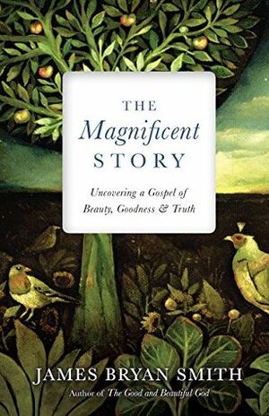The Magnificent Story: Uncovering a Gospel of Beauty, Goodness, and Truth (Apprentice Resources) by James Bryan Smith