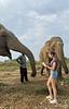 carree_wagter's profile picture
