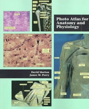 Photo Atlas for Anatomy and Physiology by David A. Morton, James W. Perry