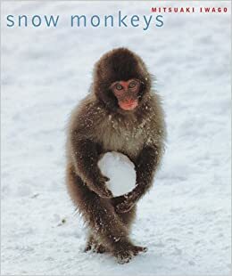 Snow Monkeys by Mitsuaki Iwago