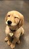 emma_098765's profile picture