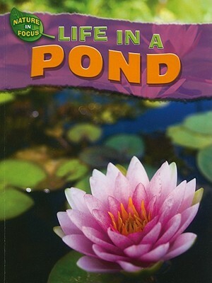 Life in a Pond by Adam Hibbert