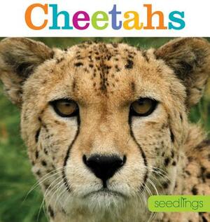 Seedlings: Cheetahs by Kate Riggs