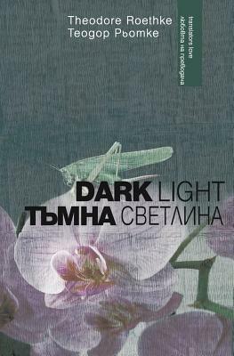 Dark Light by Theodore Roethke
