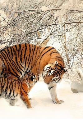 Tiger Family: Tigers Will Keep Their Cub with Them for 2 Years. She Will Teach Them to Hunt and Take Care of Themselves. by Planners and Journals