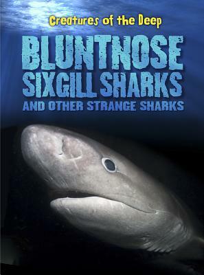 Bluntnose Sixgill Sharks and Other Strange Sharks by Rachel Lynette
