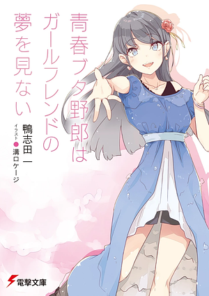 Rascal Does Not Dream of His Girlfriend Vol.14 (Light Novel)  by Hajime Kamoshida