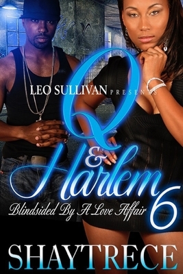 Q and Harlem 6: Blindsided by a love affair by Shaytrece