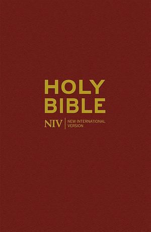 NIV Popular Burgundy Hardback Bible by New International Version