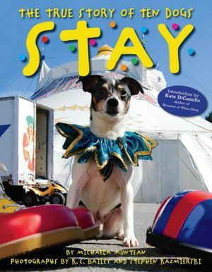 Stay: The True Story of Ten Dogs by K.C. Bailey, Michaela Muntean, Steve Kazmierski