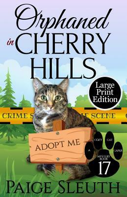 Orphaned in Cherry Hills by Paige Sleuth