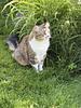 ottiline's profile picture