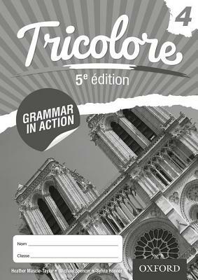 Tricolore 5e Edition Grammar in Action 4 (8 Pack) by Sylvia Honnor, Heather Mascie-Taylor, Michael Spencer