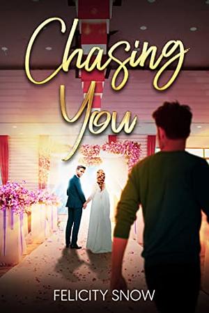 Chasing You by Felicity Snow