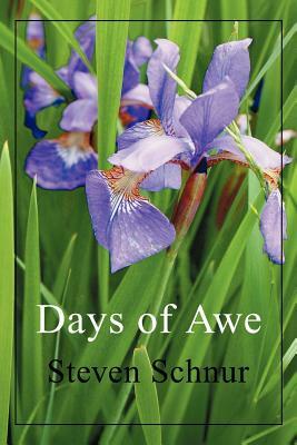 Days of Awe by Steven Schnur