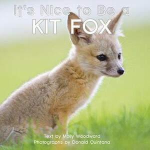 It's Nice to Be a Kit Fox by Molly Woodward