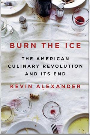 Burn the Ice by Kevin Alexander