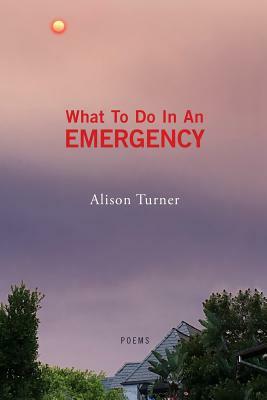 What To Do In An Emergency by Alison Turner