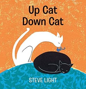 Up Cat, Down Cat by Steve Light