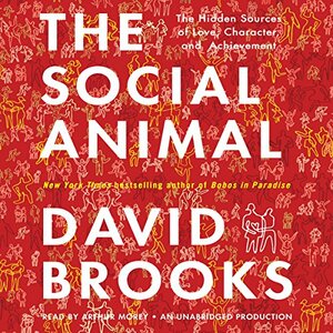 The Social Animal: The Hidden Sources of Love, Character, and Achievement by David Brooks