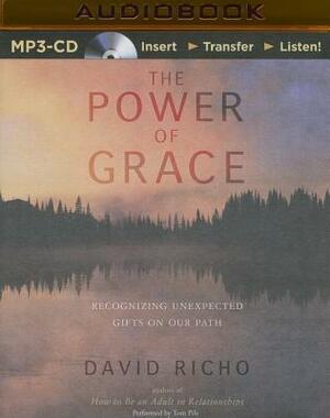 The Power of Grace: Recognizing Unexpected Gifts on Our Path by David Richo