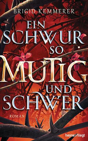 Ein Schwur so mutig und schwer by Brigid Kemmerer