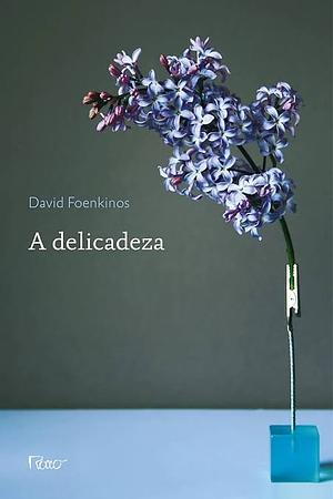 A Delicadeza by David Foenkinos