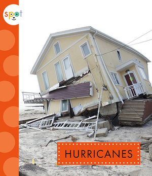 Hurricanes by Anastasia Suen