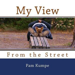 My View from the Street by Pam Kumpe