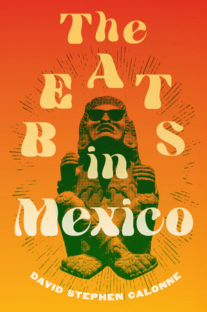 The Beats in Mexico by David Stephen Calonne