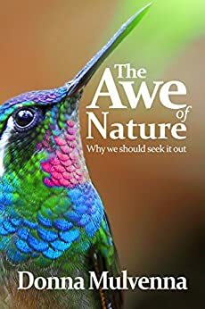 THE AWE OF NATURE: Why we should seek it out by Donna Mulvenna