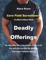 Corn Field Surveillance by Alexa Grace
