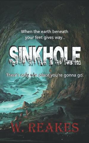 Sinkhole by Wendy Reakes