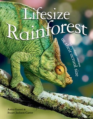 Lifesize: Rainforest: See Rainforest Creatures at Their Actual Size by Anita Ganeri, Stuart Jackson-Carter