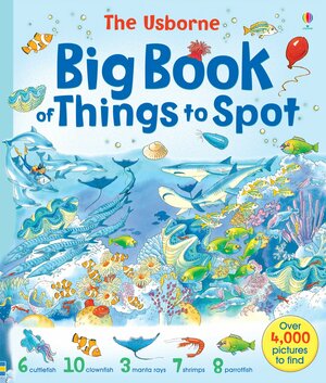 Big Book Of Things To Spot by Anna Milbourne, Gillian Doherty, Ruth Brocklehurst