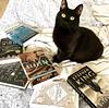 pawswithprose's profile picture