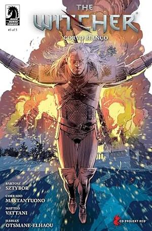 The Witcher: Corvo Bianco #5 by Bartosz Sztybor