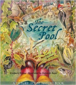 The Secret Pool by Kimberly Ridley, Rebekah Raye