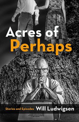 Acres of Perhaps by Will Ludwigsen