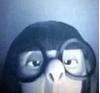 iwhohaveneverknown's profile picture